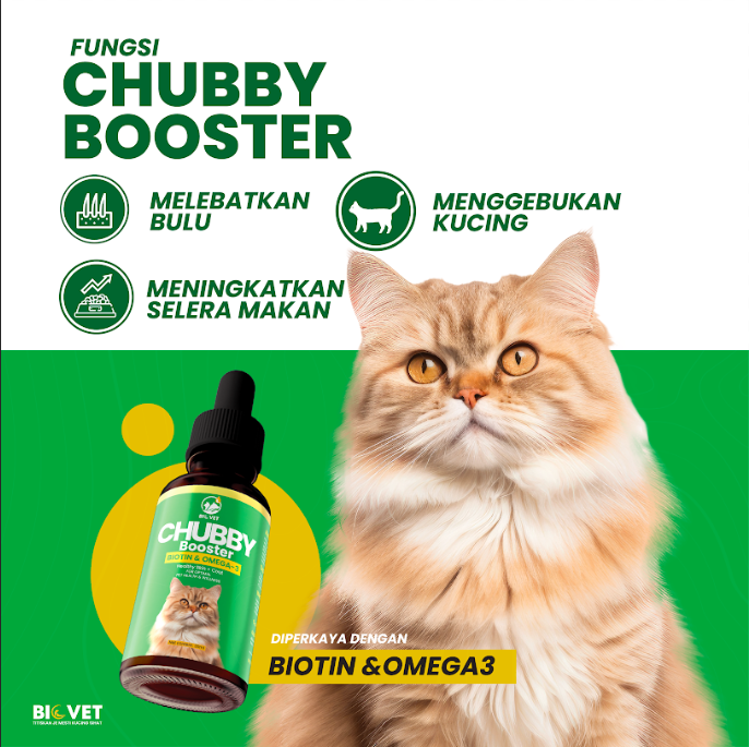 chubby booster