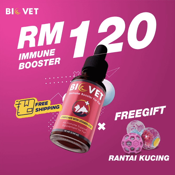 vitamin kucing immune booster biovet