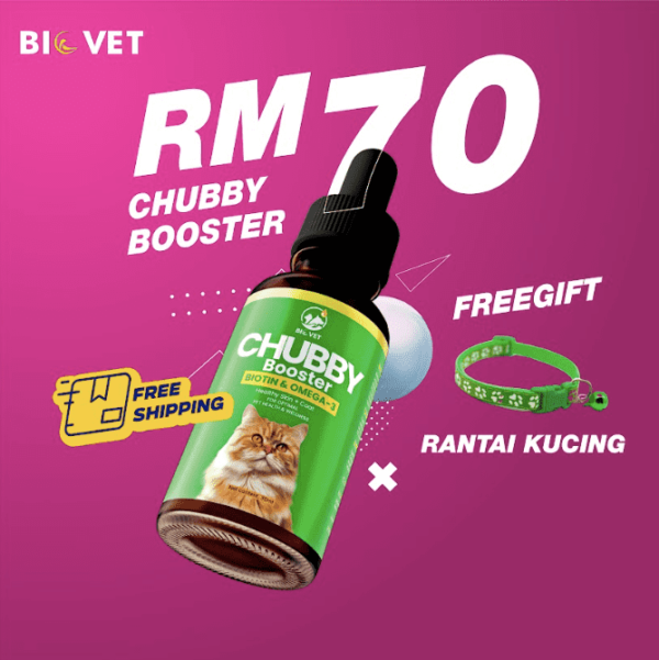 1 BOTOL CHUBBY BOOSTER