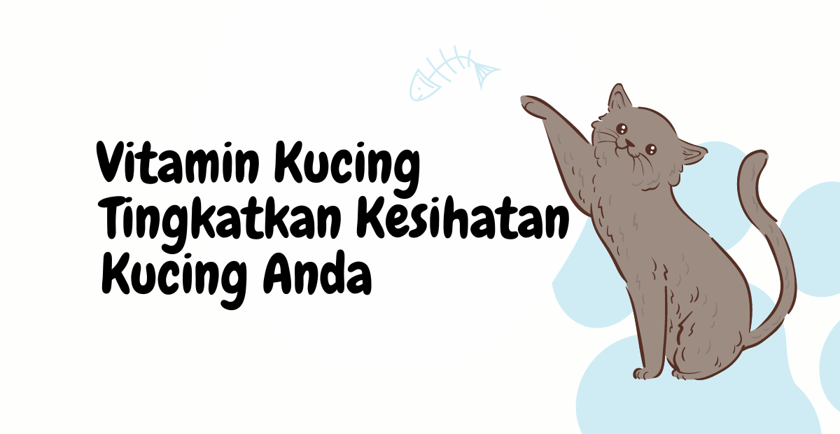 bantu tingkatkan kesihatan kucing